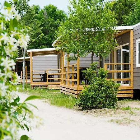 Camping New In Village